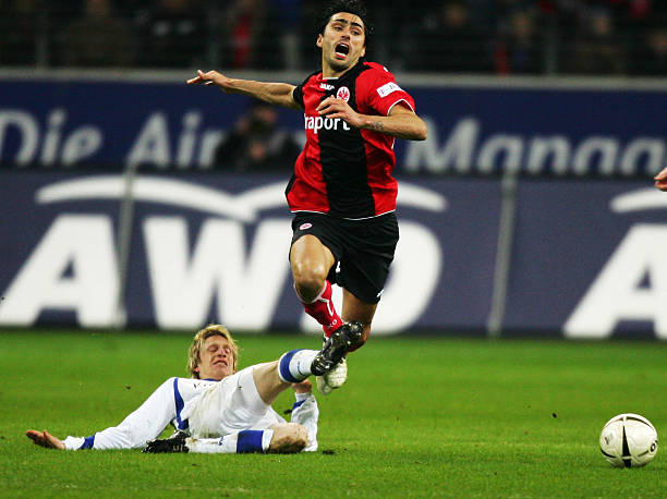 皇家社会本 皇家社会本